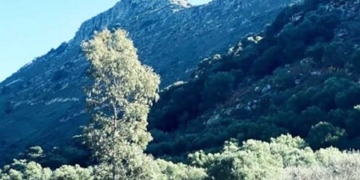 «Arizona Blue» από τη Ζωή Σγουρού