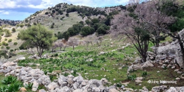  Επίσκεψη στον Άγιο Ιωάννη Φλέη της Κριτσάς