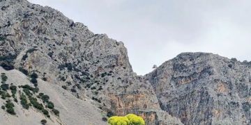 Ένας μεγαλοπρεπής άρτηκας στο φαράγγι Χα