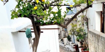 «Η Κριτσά έχει διατηρήσει σε σημαντικό βαθμό αναλλοίωτη την παλιά αρχιτεκτονική φυσιογνωμία της»