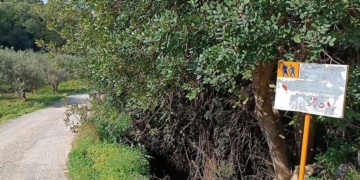 Ακατανόητες πράξεις σε σηματοδοτημένα μονοπάτια