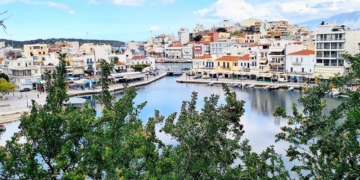 Η μηδική η δενδρώδης στη Λίμνη του Αγίου Νικολάου