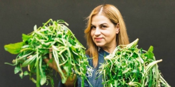Μαθαίνω τα βρώσιμα χόρτα του Μεραμπέλλου
