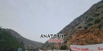 Παρακολουθήστε την Παλλασιθιώτικη διαμαρτυρία για την Υγεία