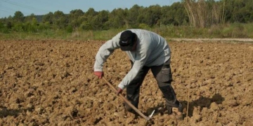 Ενιαίος Αγροτικός Σύλλογος Ιεράπετρας: Σύσκεψη με ΥπΕΞ κ Γεραπετρίτη για Εργάτες γης