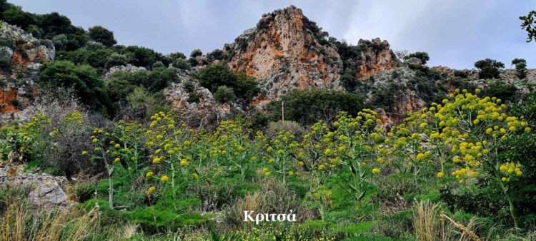 Φωτογραφία στο Anatolh.com