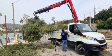 Κλαδέματα και καθαρισμοί στο Καθολικό μέχρι το Μπουρούνι (βίντεο)