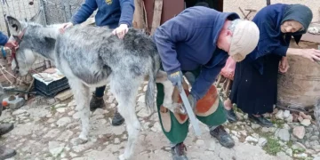 Ξεκινά το εαρινό πρόγραμμα δράσεων της για τη φροντίδα ιπποειδών