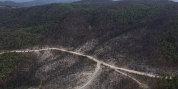 Εκδόθηκε η ΚΥΑ προκαταβολής 50% της κρατικής αρωγής για ζημιές σε φυτικό κεφάλαιο κατά τις πυρκαγιές του 2023
