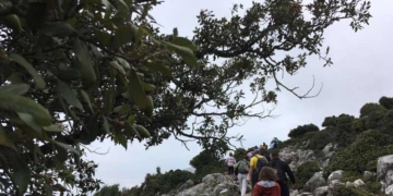 Απαγόρευση κυκλοφορίας σε περιοχές NATURA, δασικά οικοσυστήματα, πάρκα και άλση – ποιές περιοχές είναι στο νομό Λασιθίου