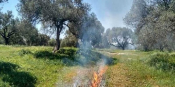 Ανακοίνωση Δήμου Αγίου Νικολάου για επέκταση του χρονικού ορίου απαγόρευσης χρήσης πυρός από 15.04.2024