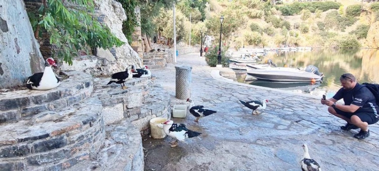 Φωτογραφία στο Anatolh.com