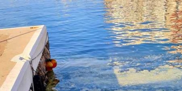 Κιτρίνισε η θάλασσα στο λιμάνι