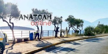 Η περιποίηση του παραλιακού δρόμου