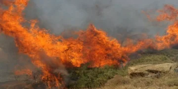 Τον συνέλαβαν την ώρα που προσπαθούσε να σβήσει τη φωτιά!