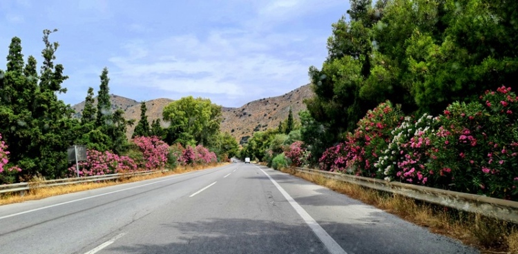 Φωτογραφία στο Anatolh.com