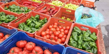 Κοινοβουλευτική παρέμβαση της Κ. Σπυριδάκη για τις τεράστιες ποσότητες αδιάθετων κηπευτικών προϊόντων θερμοκηπίου