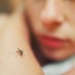 Πρώιμη έναρξη δραστηριότητας των κουνουπιών- Προφυλαχθείτε από τον ιό του Δυτικού Νείλου