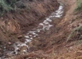 Προγραμματισμός εργασιών καθαρισμού ρέματος σε περιοχές αρμοδιότητας Π.Ε. Λασιθίου