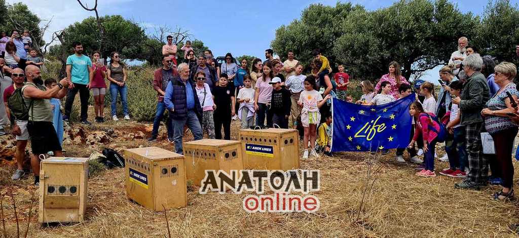 Φωτογραφία στο Anatolh.com