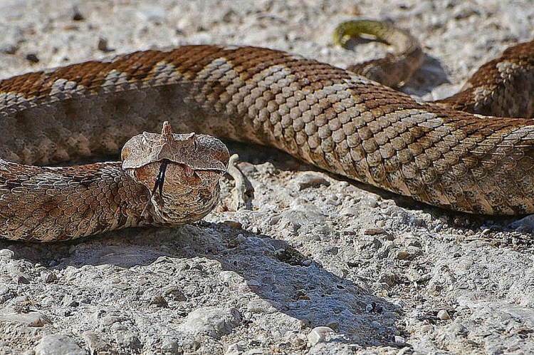 Φωτογραφία στο Anatolh.com