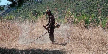 Καθαρισμοί οικοπέδων – άνοιξε για τους πολίτες η ηλεκτρονική πλατφόρμα στο gov.gr