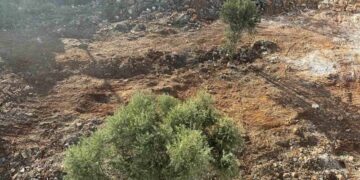 Οι πολίτες πρέπει να καθαρίσουν τα οικόπεδά τους -Νέος… πονοκέφαλος για τους Αγιονικολιώτες αλλά και τις δημοτικές αρχές