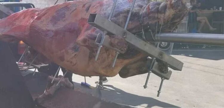 Φωτογραφία στο Anatolh.com