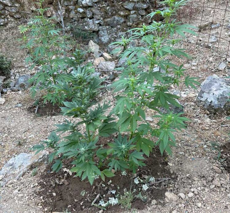 Φωτογραφία στο Anatolh.com