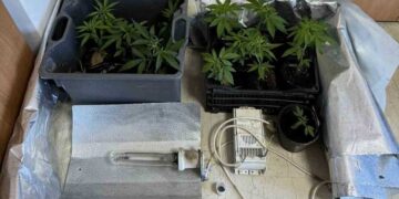 Βρέθηκε σύστημα υδροπονικής καλλιέργειας κάνναβης και εγκατεστημένο καζάνι απόσταξης