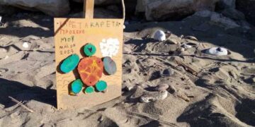 Σητεία, η πόλη της χελώνας