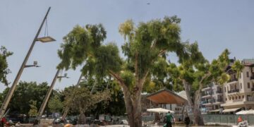 Παραδίδεται το πρώτο τμήμα της πλατείας Ελευθερίας στο Ηράκλειο