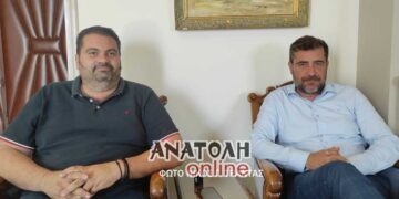 Διαφοροποιημένη έντονα είναι η εικόνα της καρποφορίας των ελαιώνων από περιοχή σε περιοχή (βίντεο)