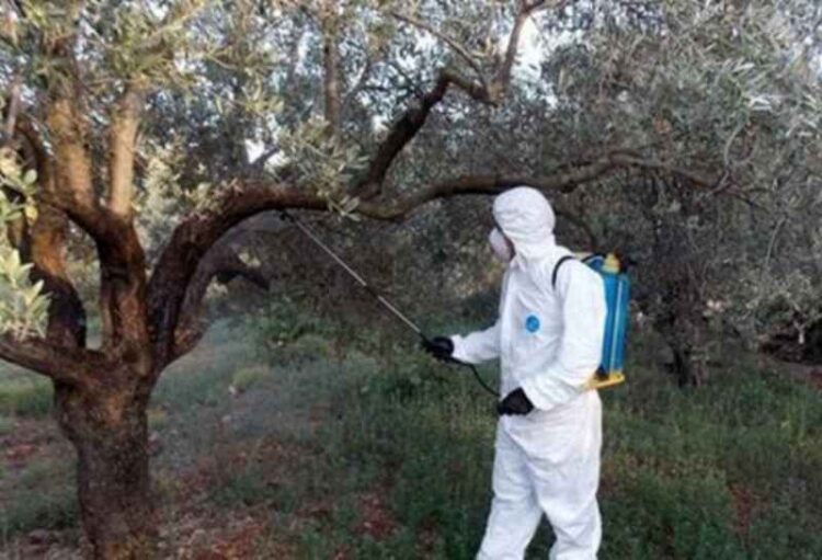 Φωτογραφία στο Anatolh.com