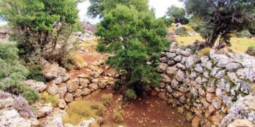 Απογευματινή πεζοπορία στο ιστοικό δάσος Κρούστα