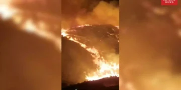 Χιλιάδες στρέμματα έγιναν στάχτη από τις καταστροφικές φωτιές σε Γεράκι και Γόρτυνα