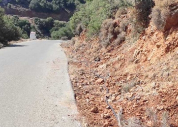 Καθαρισμός των πρανών σε ευαίσθητες και δασώδεις περιοχές από τον Κρούστα στην Πρίνα, Παχειά Άμμος, Παπαγιαννάδες, Χανδρά