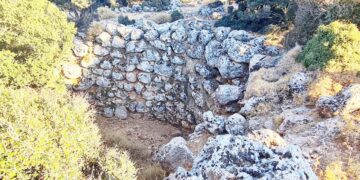 Επίσκεψη στο μοναδικό Ιστορικό Δάσος Κρούστα