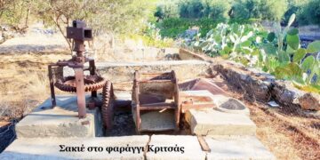 Ένα γεράνι και ένας σακιές στο φαράγγι της Κριτσάς