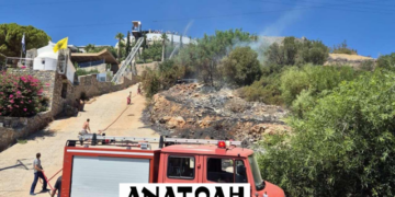 Πρόλαβαν την φωτιά στο ξεκίνημά της