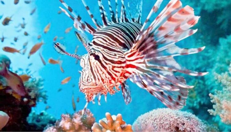 Φωτογραφία στο Anatolh.com