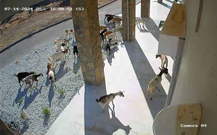 Φωτογραφία στο Anatolh.com