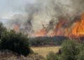 Στην πυρκαγιά στο Νότιο Ρέθυμνο μεταβαίνει ο υπουργός Κλιματικής Κρίσης και Πολιτικής Προστασίας, Βασίλης Κικίλιας