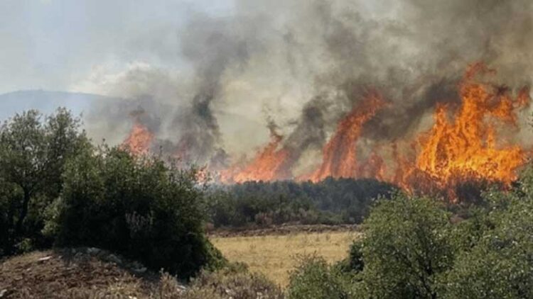 Φωτογραφία στο Anatolh.com