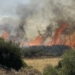 Στην πυρκαγιά στο Νότιο Ρέθυμνο μεταβαίνει ο υπουργός Κλιματικής Κρίσης και Πολιτικής Προστασίας, Βασίλης Κικίλιας