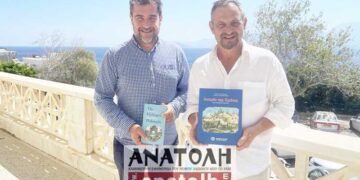 Το υδρογόνο μπορεί να βοηθήσει την σταθεροποίηση του συστήματος ηλεκτροδότησης