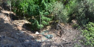 Δυο φυτείες κάνναβης εντοπίστηκαν στο δήμο Αγίου Νικολάου μετά από επιχείρηση της Αστυνομίας