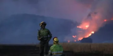Υψηλός κίνδυνος πυρκαγιάς σήμερα στην Κρήτη