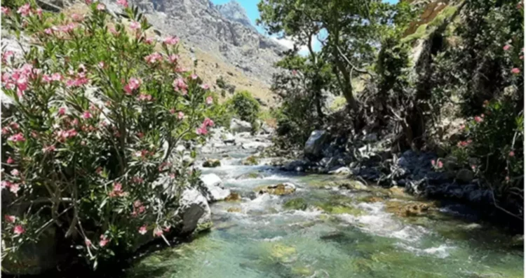 Φωτογραφία στο Anatolh.com