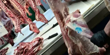 Πανώλη: «Ασφαλή και ελεγμένα τα κρέατα που πωλούνται σε αδειοδοτημένα κρεοπωλεία»